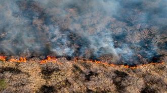 Πού Πάνε τα Ευρωπαϊκά Κονδύλια για την Πρόληψη Πυρκαγιών;